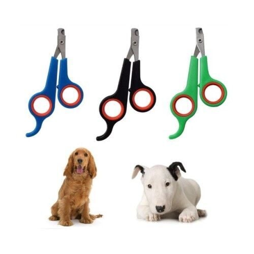 Köpek Bakım & Sağlık Diğer