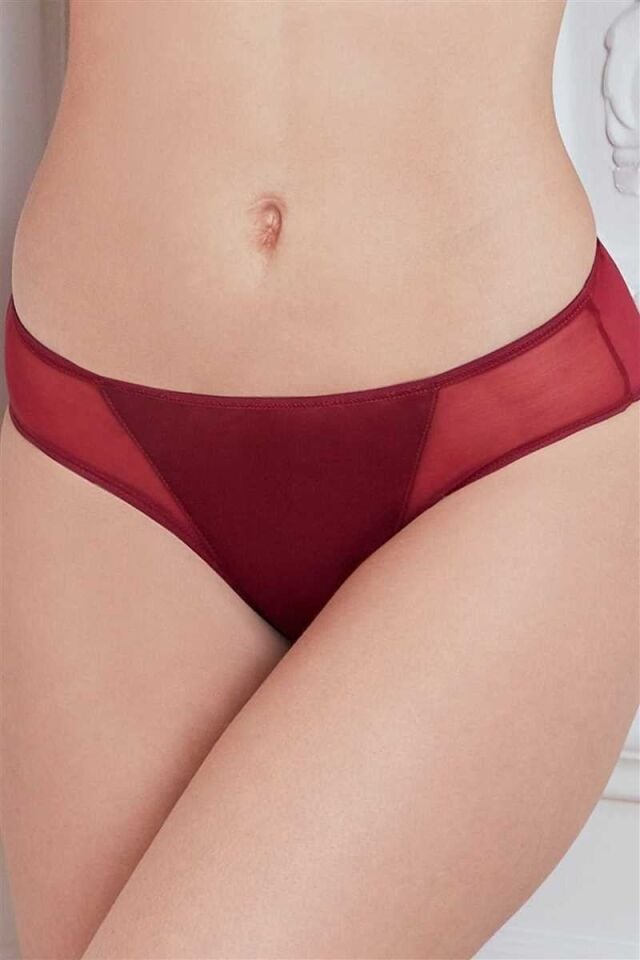 Kadın Mikro Kumaş Tüllü Slip (2778)