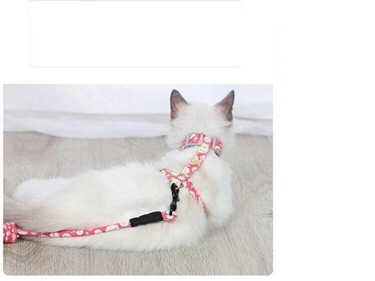 Kedi Gezdirme Göğüs Tasması