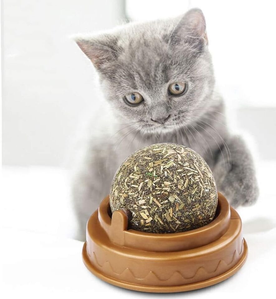 Kedi Nanesi Oyun Topu