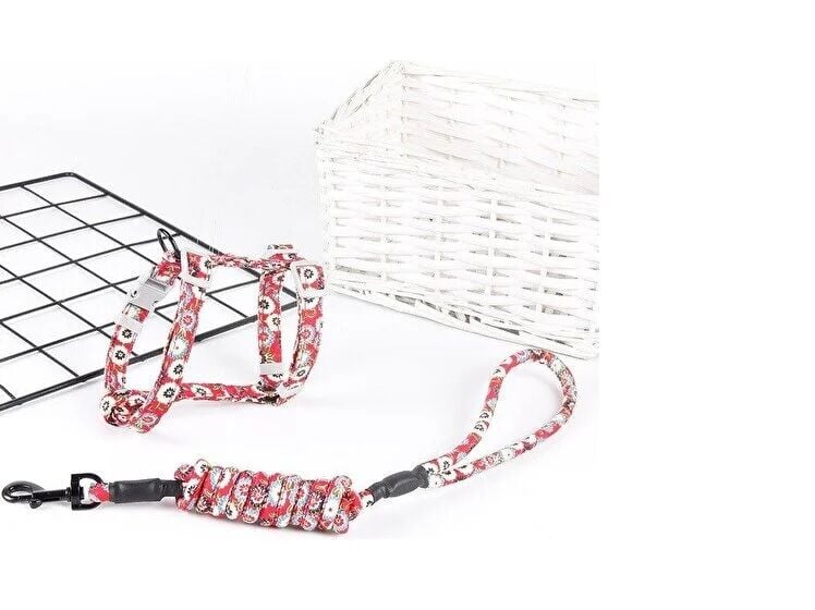 Kedi Gezdirme Göğüs Tasması