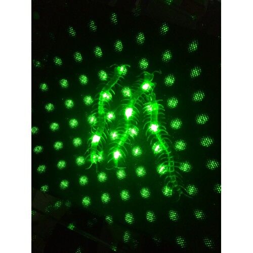 Şaka Yılan ve Kırkayak Karışık 36 Adet