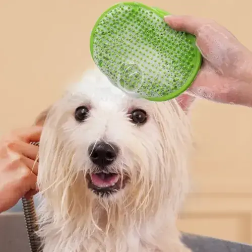 Hayvan Tüy Toplama Yıkama ve Köşe Kaşınma Silikon Fırçası