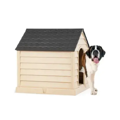 Büyük Köpek Kulübesi