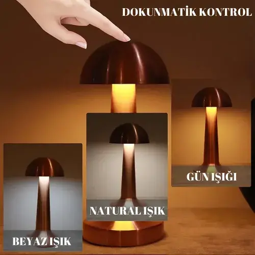 Dekoratif Led Masa Lambası 3 Renk Modlu