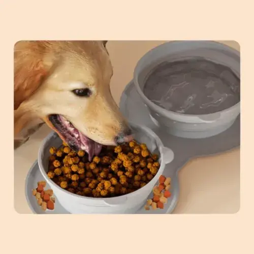 Mikopet Katlanabilir İkili Mama ve Su Kabı