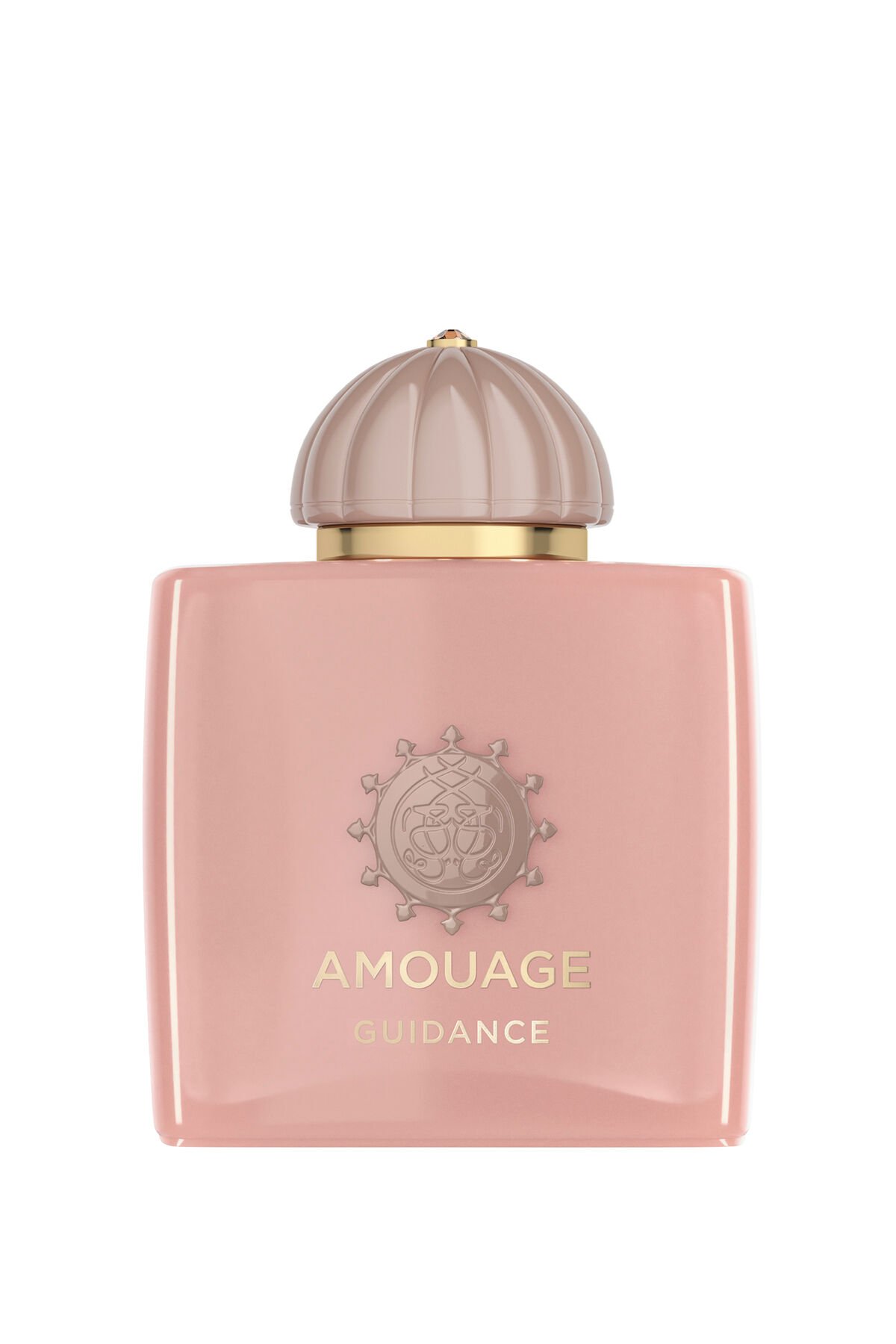 IAmouageGuidance EDP 100ml