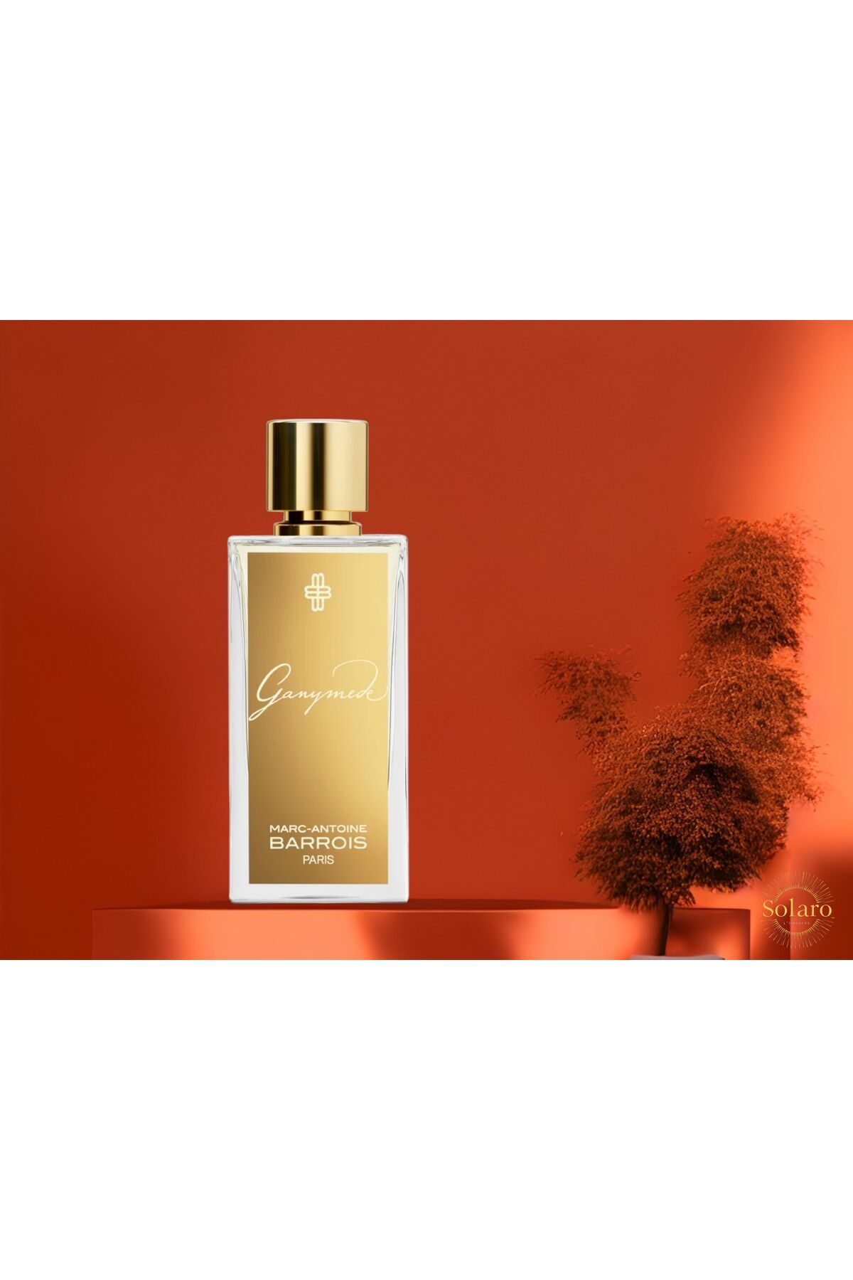 Marc Antoine Barrois