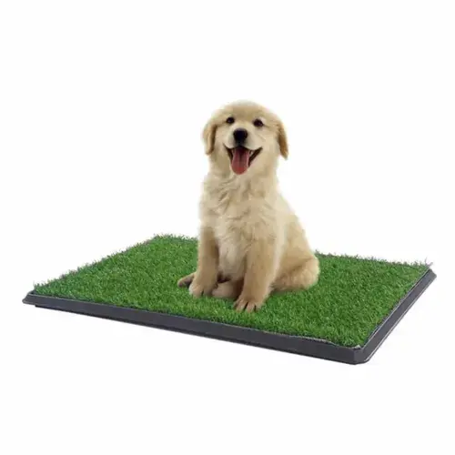 Pet Park Mini Yavru Köpek Tuvalet ve Eğitim Çiti