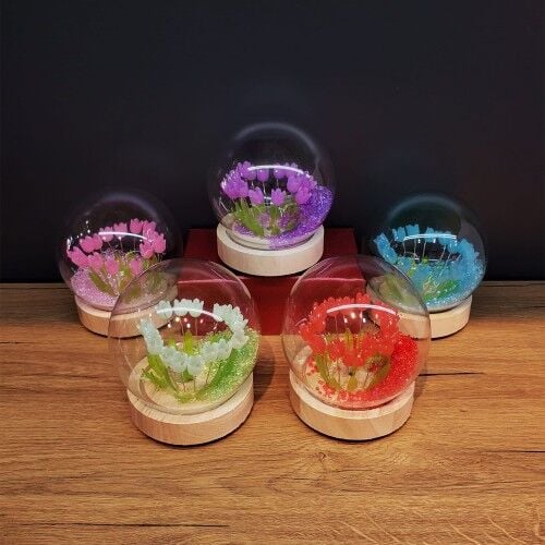 Led Işıklı Lale Cam Fanus