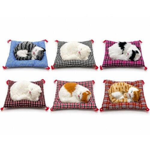 Yastıkta Uyuyan Kedi Sesli Alk24
