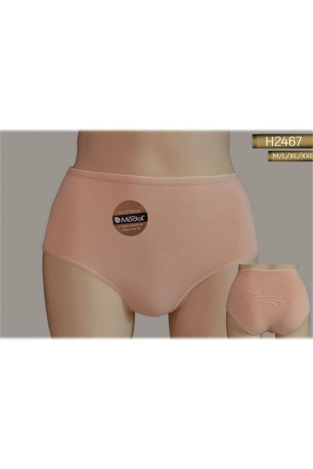 YÜKSEK BEL MODAL SLIP KÜLOT KADIN 2467